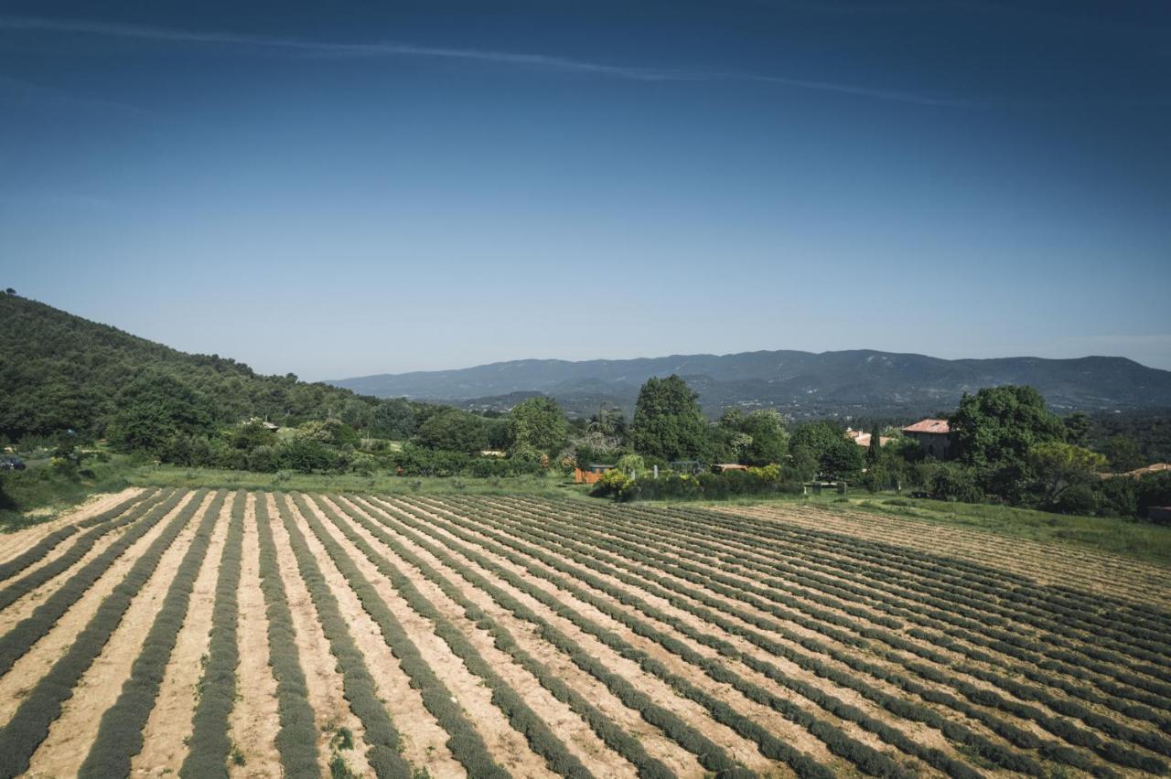Studio Sud Luberon Grambois Exteriör bild