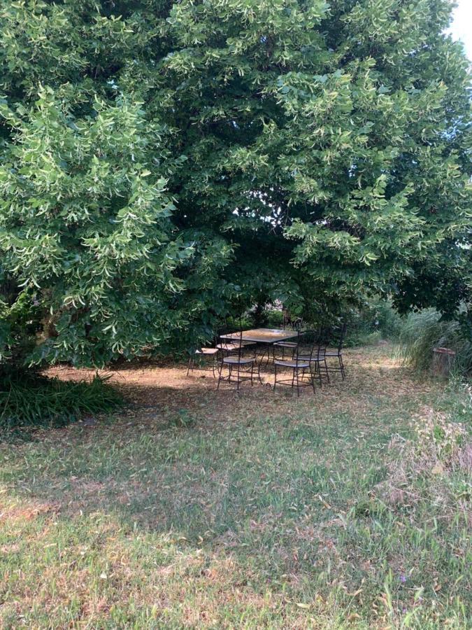 Studio Sud Luberon Grambois Exteriör bild
