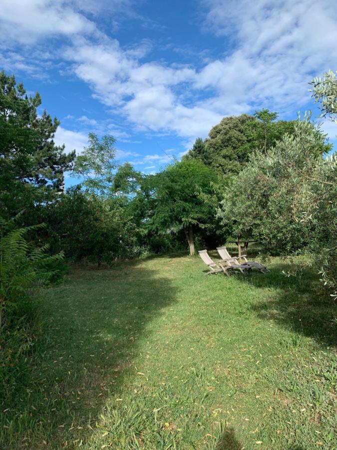 Studio Sud Luberon Grambois Exteriör bild